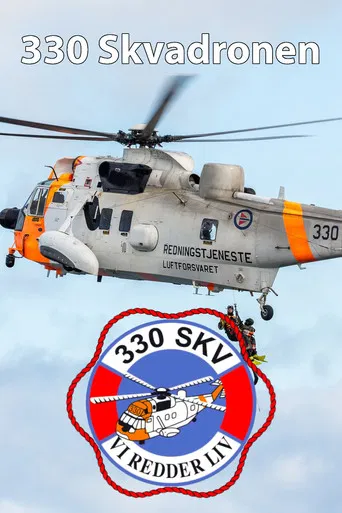 330 Skvadronen poster