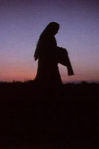 Women in the Shadows poster