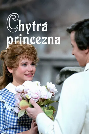 Chytrá princezna poster