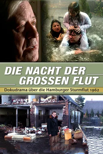 Die Nacht der großen Flut poster