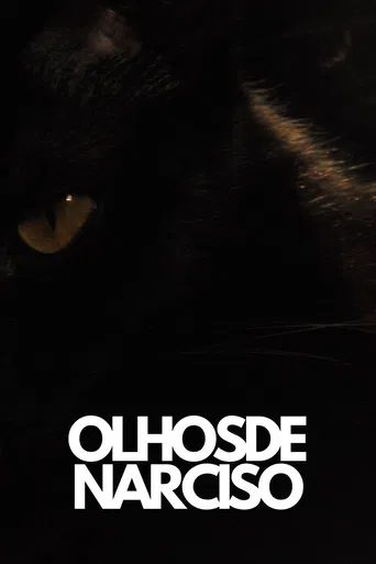 Olhos de Narciso poster