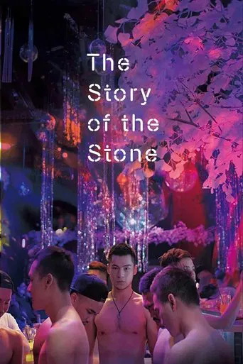 The Story of the Stone poster