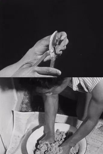 Hands of Inge poster