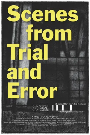 Scenes from Trial and Error poster