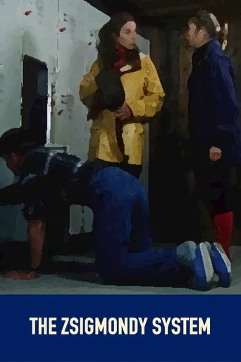 The Zsigmondy System poster