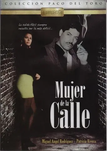 Mujer de la calle poster