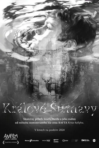 Králové Šumavy poster