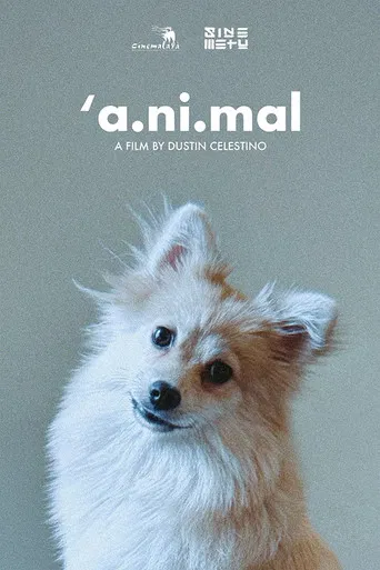 'a.ni.mal poster
