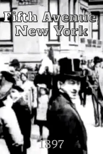 Fifth Avenue, New York poster