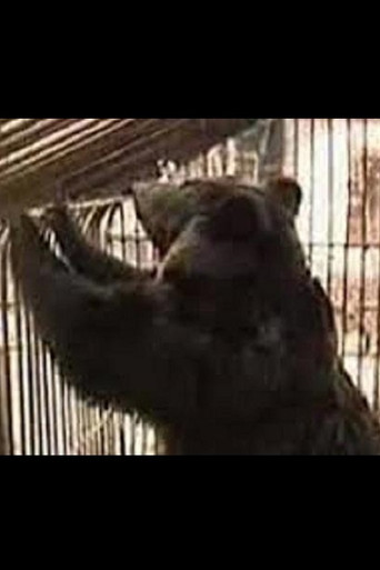 Why Does Kolkhoz Need Bears? poster