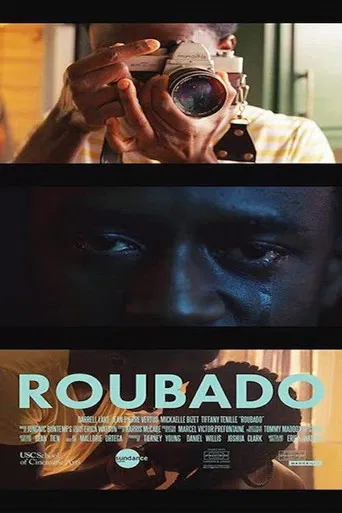 Roubado poster