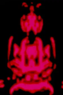 The Star Curtain Tantra poster