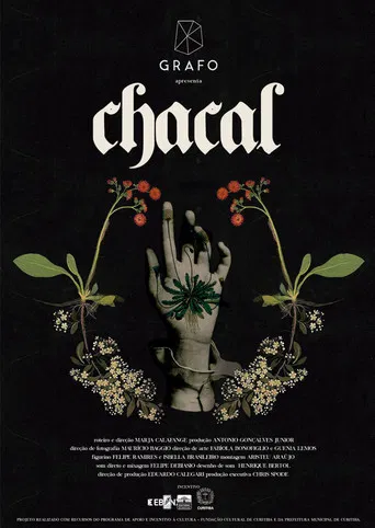 Chacal poster