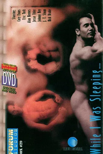 While I Was Sleeping poster