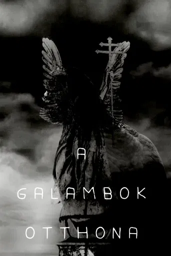 Home of Pigeons poster