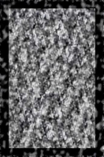 While We Look Down poster