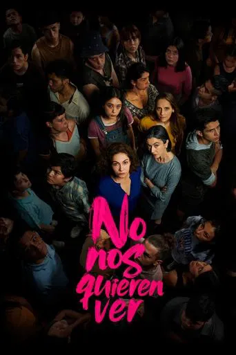 No nos quieren ver poster
