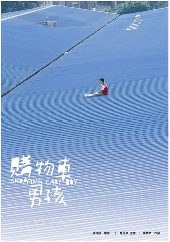 Shopping Cart Boy poster