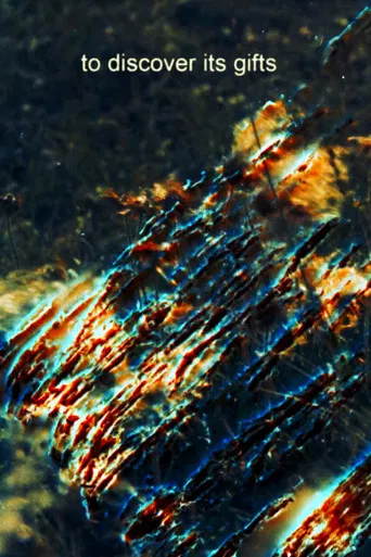 One Duck Down poster