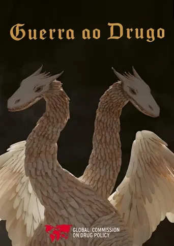 The War On Drugo poster