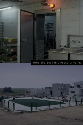 Hide and Seek in a Peaceful Valley poster