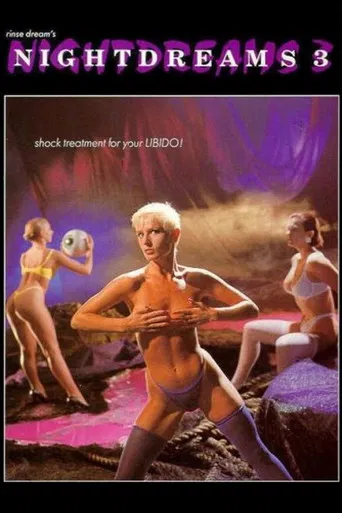Nightdreams 3 poster