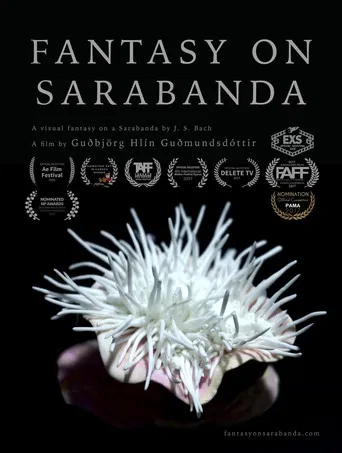Fantasy on Sarabanda poster