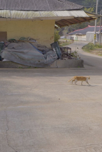 A House with Two Yards poster