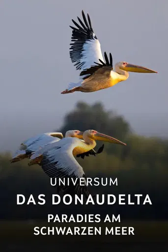 Das Donaudelta - Paradies am Schwarzen Meer poster