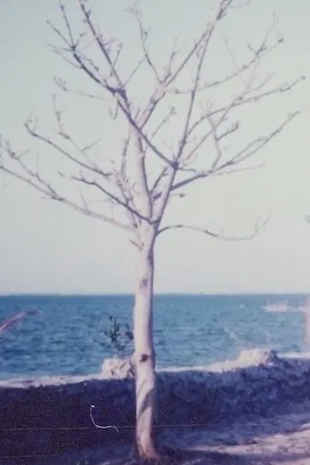 Two Women and the Rock Garden poster