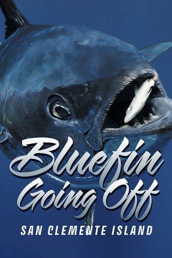 Bluefin Going Off at San Clemente Island poster