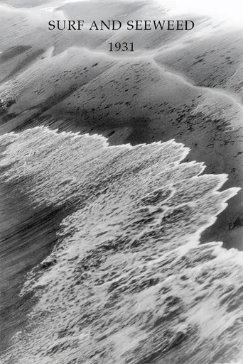 Surf and Seaweed poster