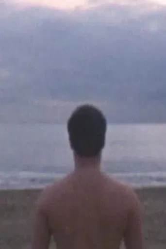 The French Collection poster