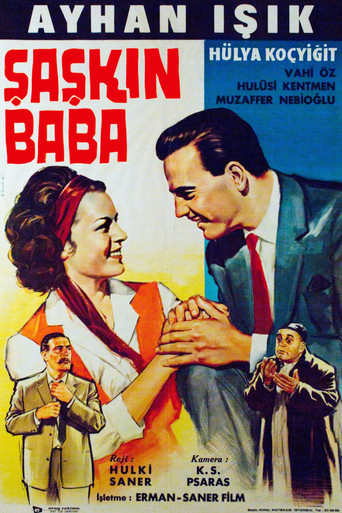 Şaşkın Baba poster