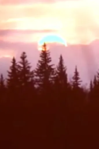 Spring film observations poster