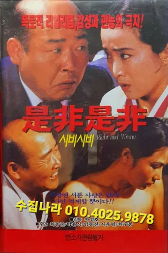 시비시비 poster