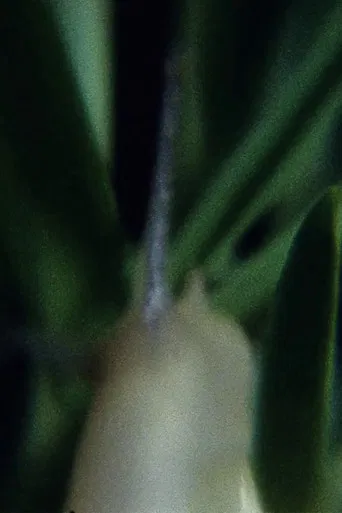 Película sudorosa I poster