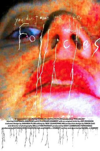 FOLLICLES poster