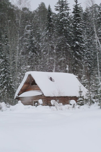 Ivan's Ladder poster