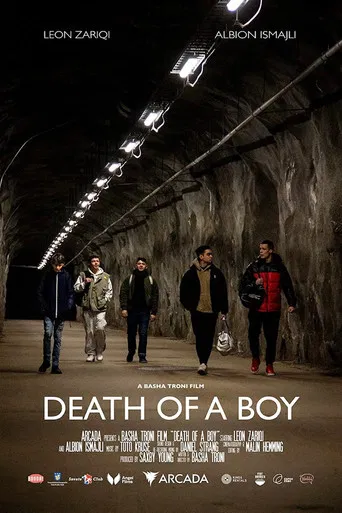 Death of a Boy poster