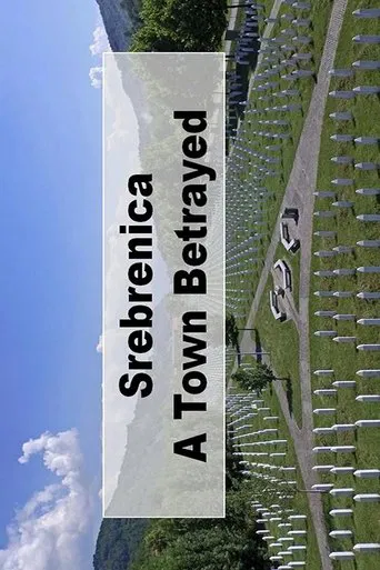 A Town Betrayed poster