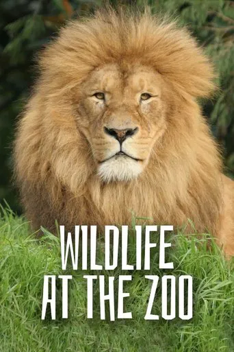 Wild Life At The Zoo poster