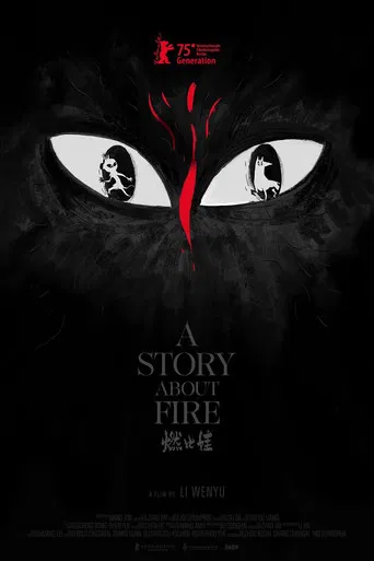 A Story About Fire poster