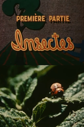 The Enemies of the Potato: Insects poster