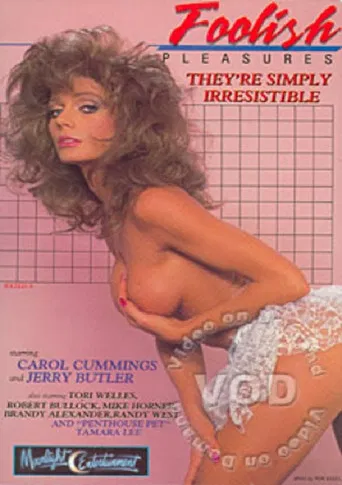 Foolish Pleasures poster