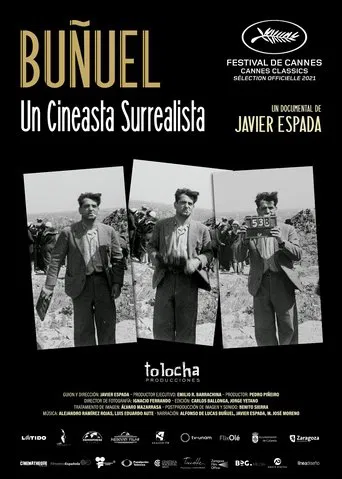 Buñuel: A Surrealist Filmmaker poster