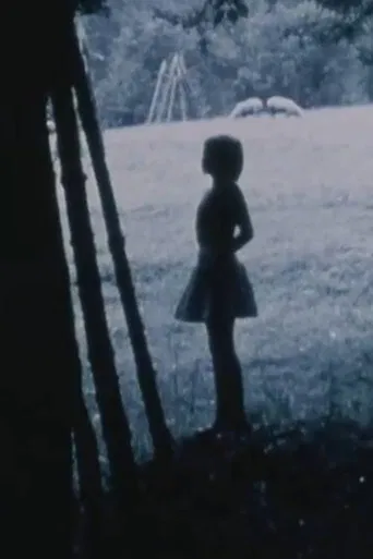 Passing Through/Torn Formations poster