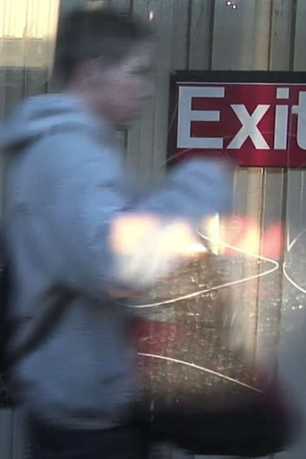 Every Stop on the F Train poster