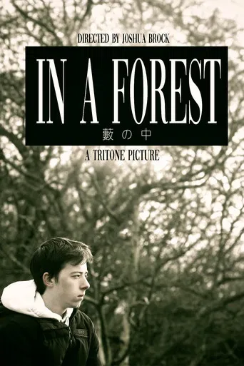 In a Forest poster