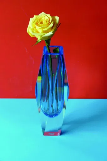 Retrato Permanente poster